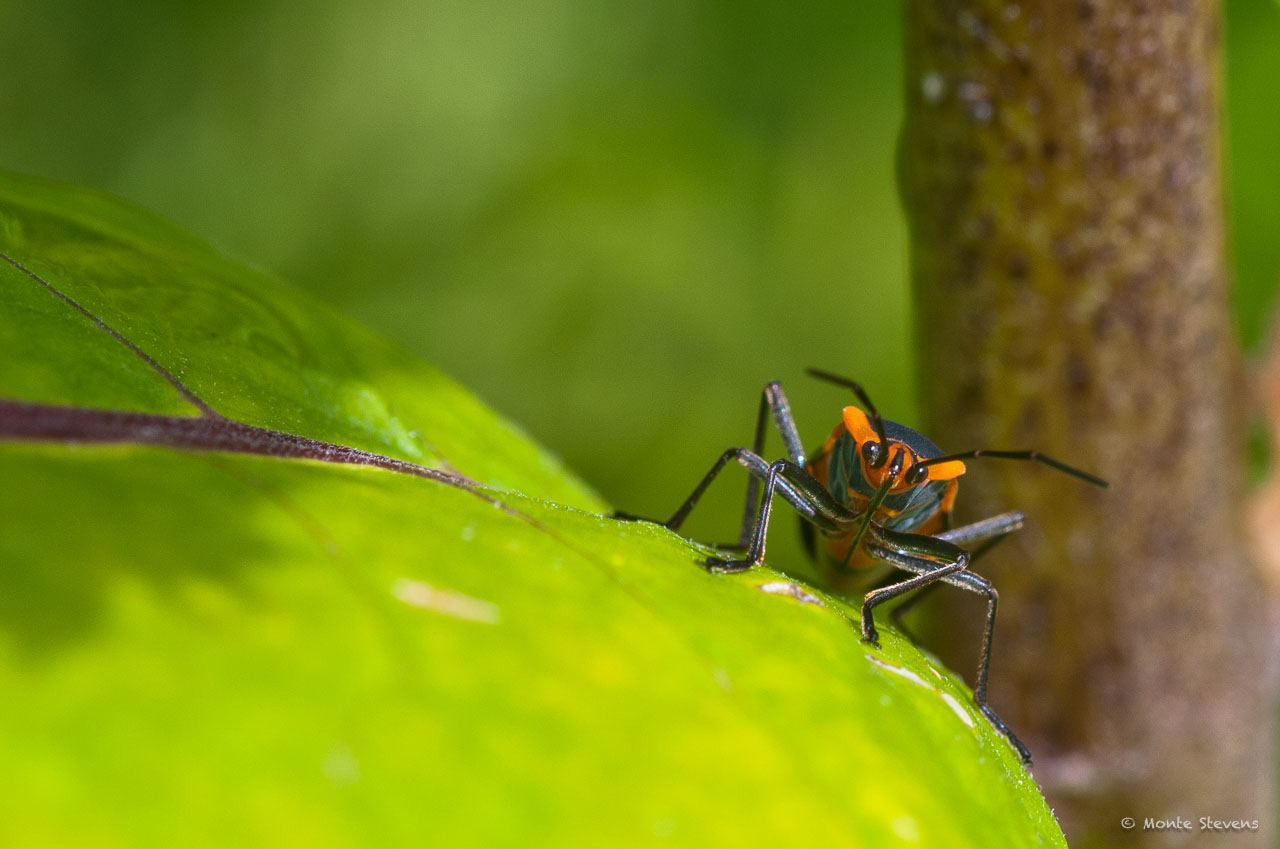 20100725-_DSC4082