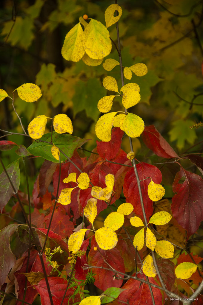 20101011-_DSC6078