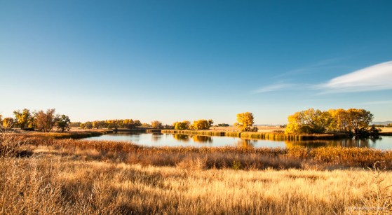 20111023-_DSC2739