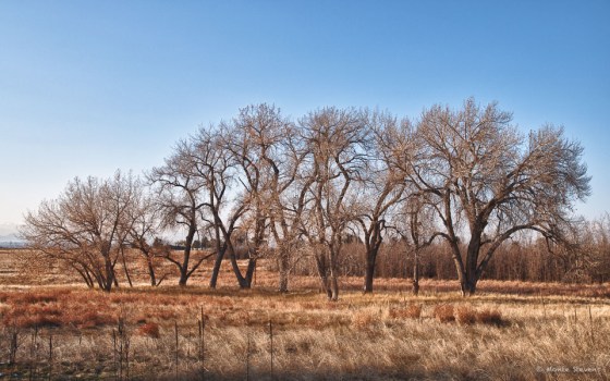 20111108-_DSC2983_HDR