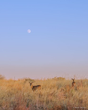 20111108-_DSC3043