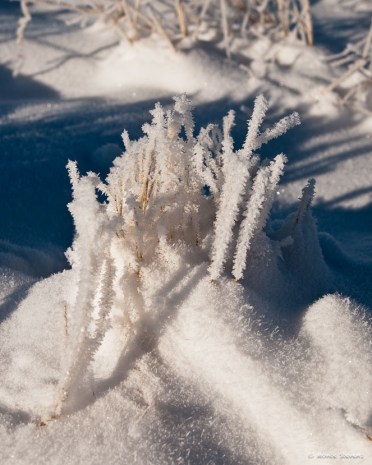 20111206-_DSC3732
