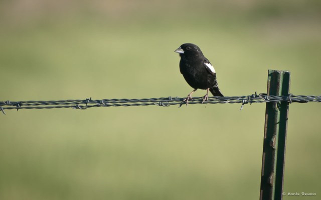 20120524-DSC_3606