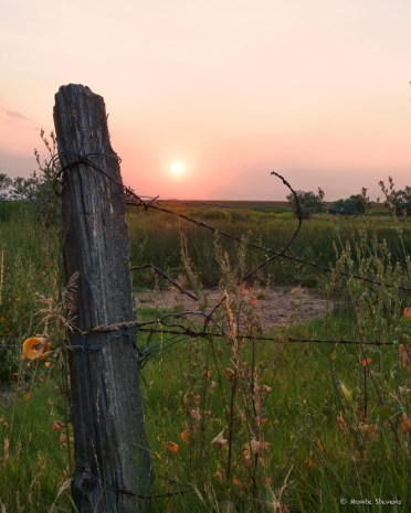 20120817_DSC8127_HDR