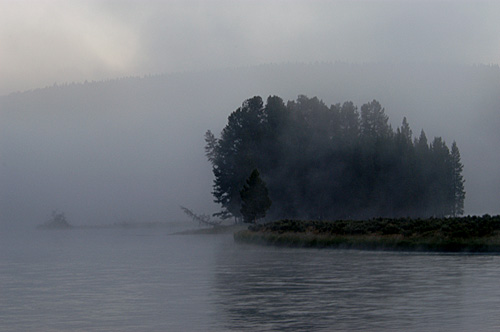 Fog Along Yellowstone River in Lamar Valley