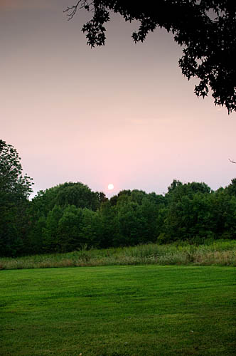 Setting Sun at Blendon Woods Park