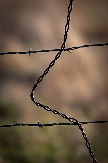 Barb-wire Fence