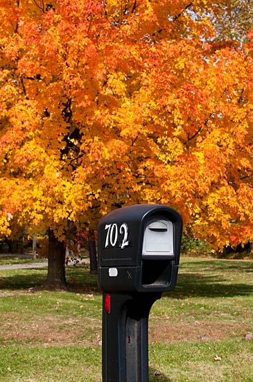 Mailbox #702