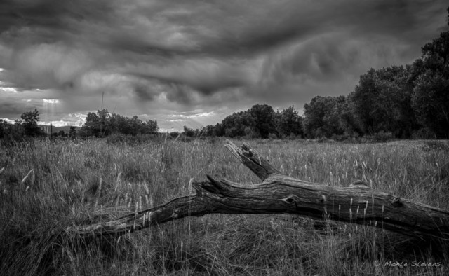 Storm Clouds