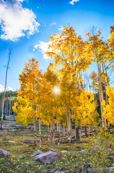 Aspens of Utah