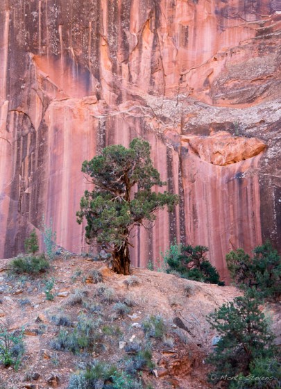 Capital Reef National Park