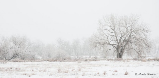 Arapahoe Bend Nature Area