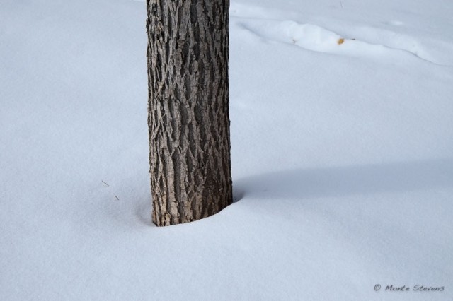 Snow Shadow