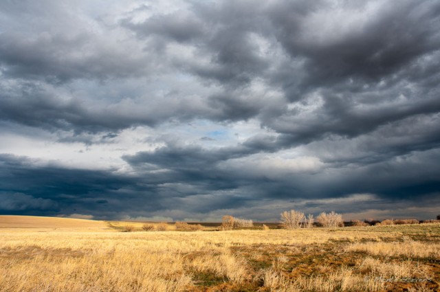 Passing Storm