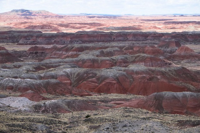 Painted Desert