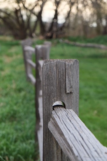 Fence at Rowland Moore Park