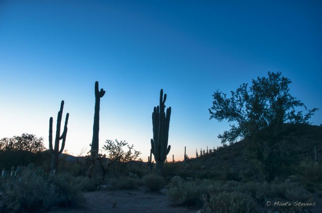 Sunrise on Peralta Trail