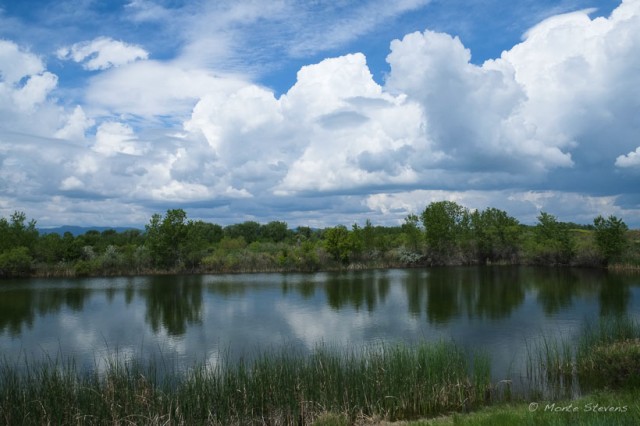 Storm Clouds