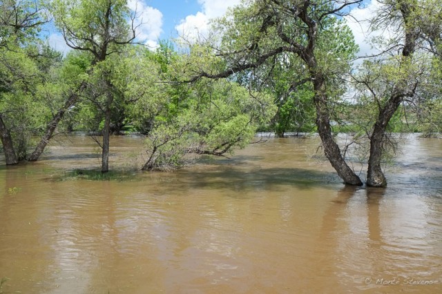 High waters at Arapaho Bend Nature Area