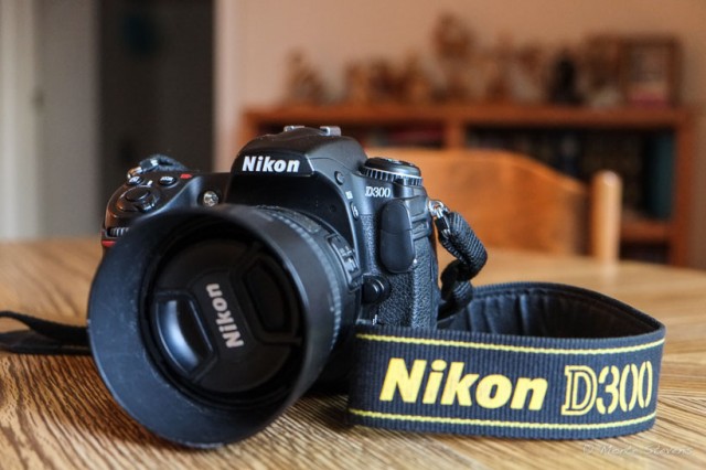 The First Nikon D300