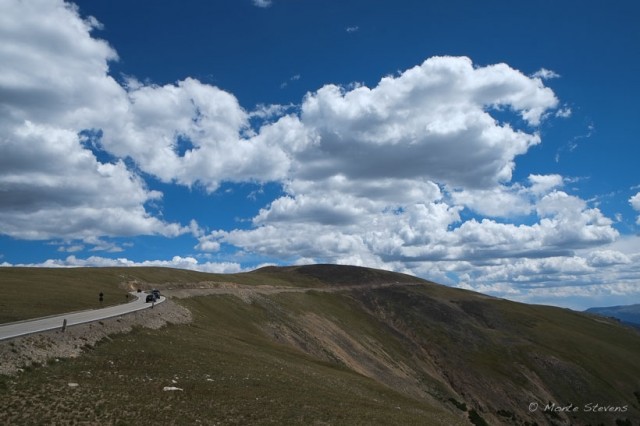 The road goes above timberline where trees are not able to grow.