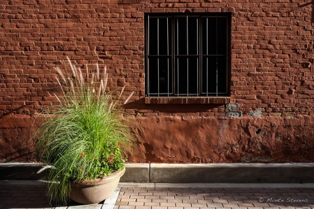 The alley in Old Town Fort Collins