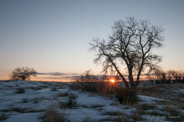 Starburst Sunrise