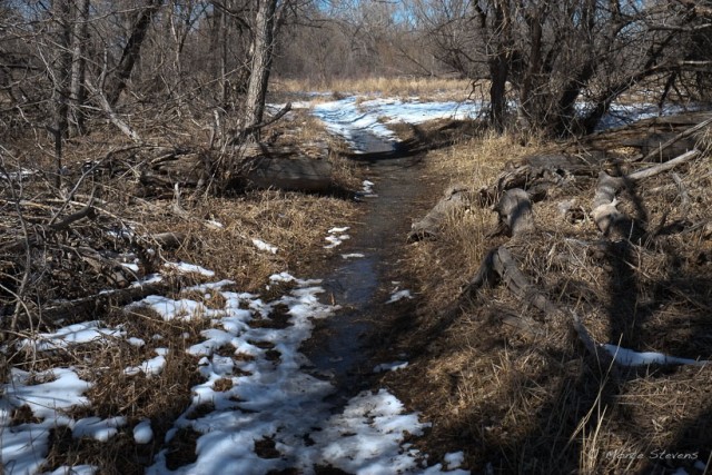 Muddy Trail