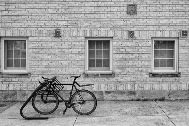 Bicycle on Campus