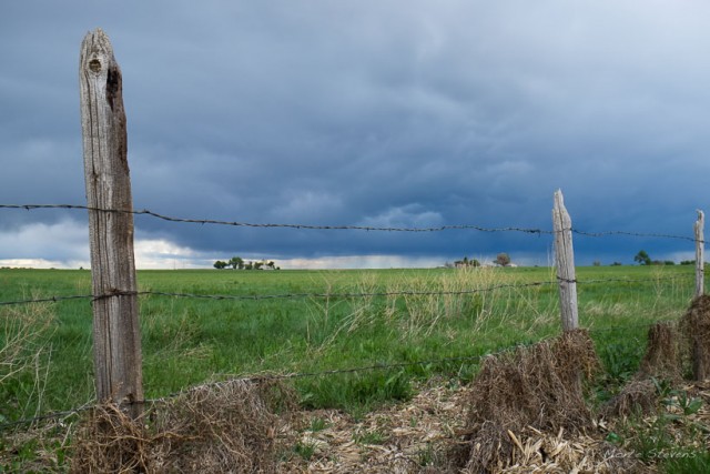 Rain Clouds