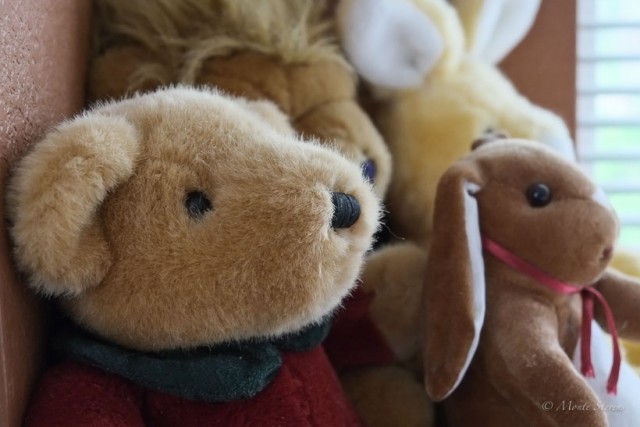 Stuffed Animals: Gifts from special people