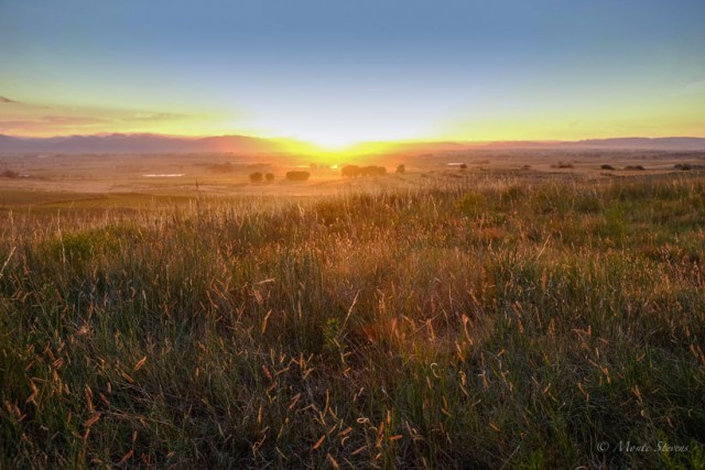 Glowing Sunset