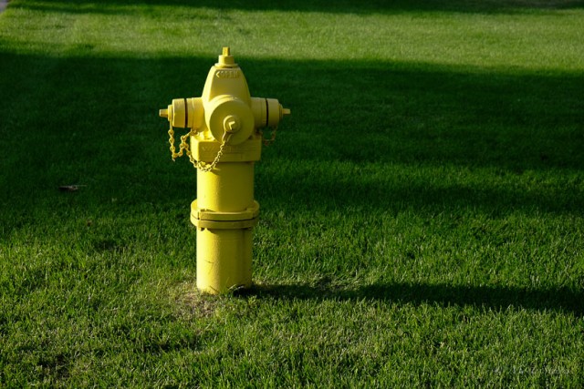 Yellow Fire Hydrant 