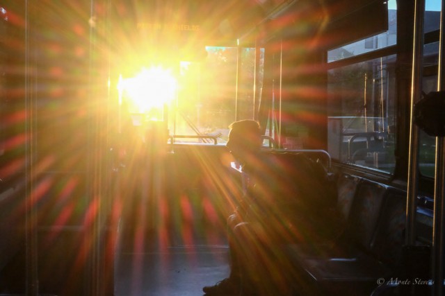 Sunrise on the Bus
