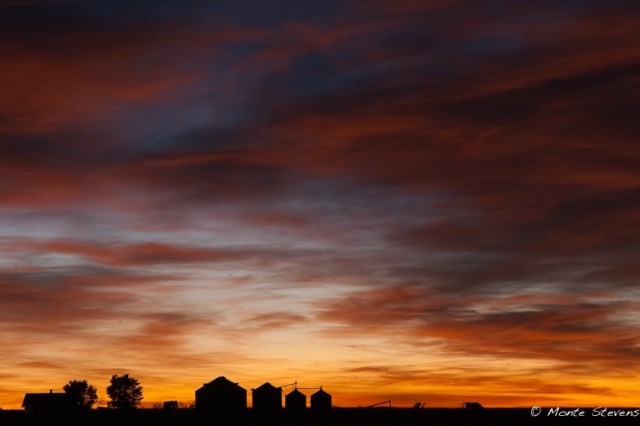 Sunrise on the Farm