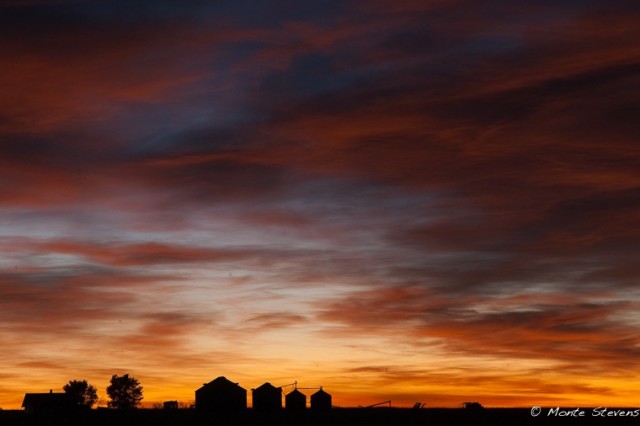 Sunrise on the Farm