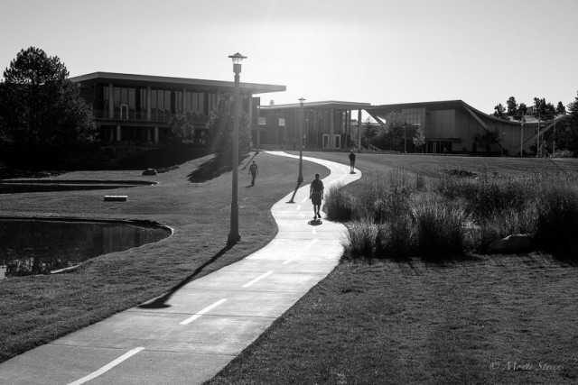 The path on campus