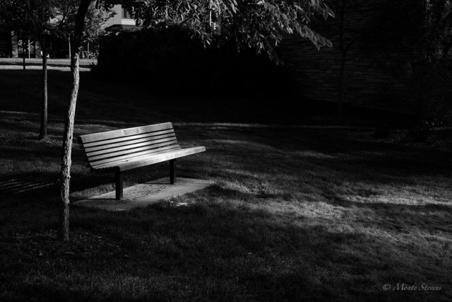 A Bench with Light