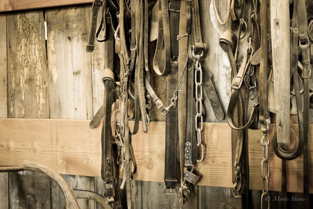 Bridles and things