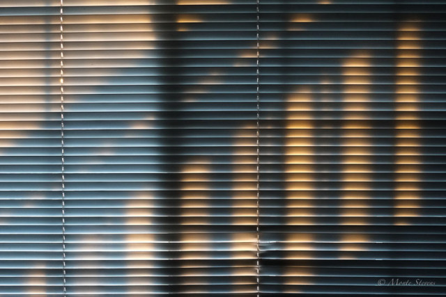 Morning Shadows in my Window