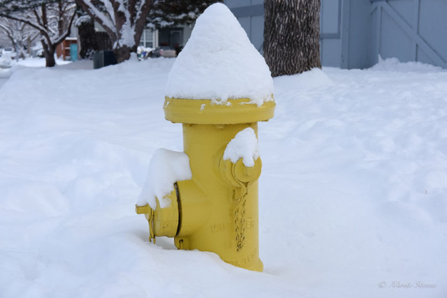 Conehead Fire Hydrant