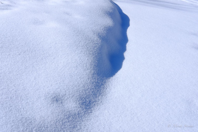 Snow Shadows