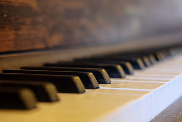 Piano keys at Momo Lolo coffeehouse.