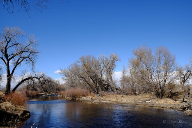 Blue Skies and Water