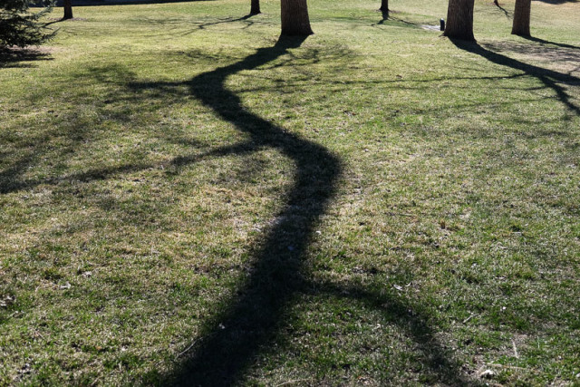 Crooked Shadow