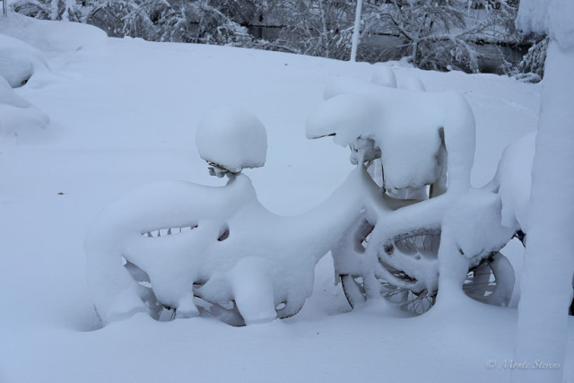 Snow Covered Bicycles