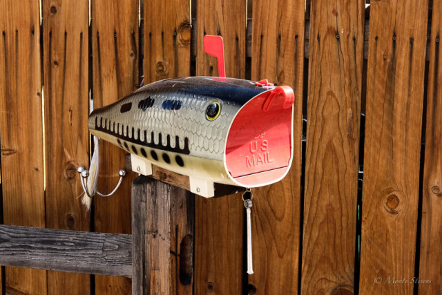 Mailbox at a fly fishing shop