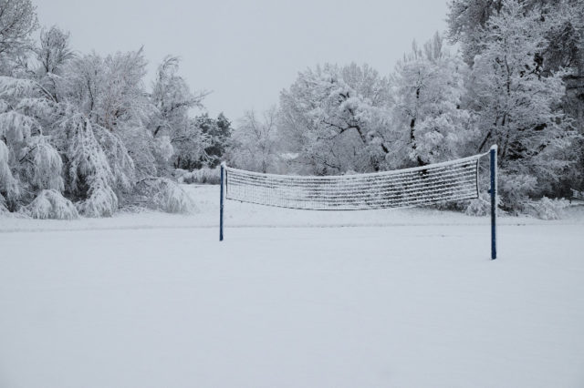 Volleyball Court at Rowland Moore Park