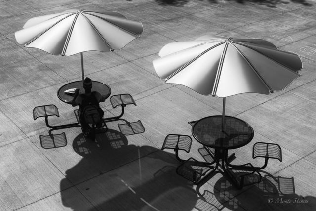 Studying in the Shade