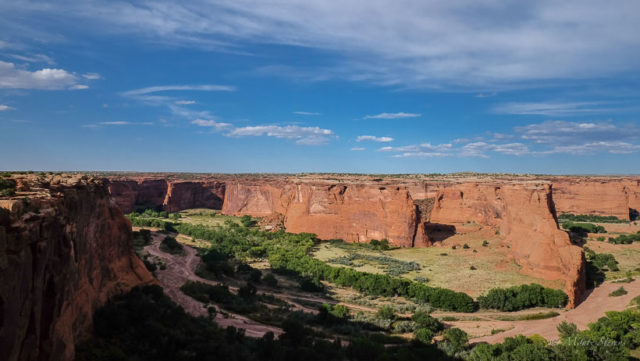 Looking into the Canyon from Junction Overlook